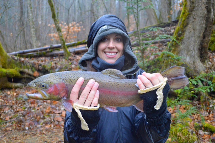 Trout Fly Fishing Guides in Cherokee